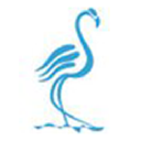 Blue Flamingo Fashion
